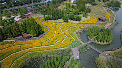 栀芓采集到植意——花海