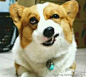 不再轮回 [http://1351780767.qzone.qq.com]