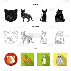 分离着色,宠物,符号,史芬克斯无毛猫,人造物,可爱的,白色,纯种犬,愉悦,收集