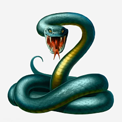 旺旺仔仔仔采集到动物