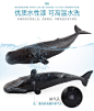 正版玩具仿真动物模型海洋生物鲨鱼鲸鱼海豚企鹅海龟摆件儿童益智-淘宝网