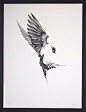 #纹身##tattoo#Here’s an absolutely stunning set of art prints from Von. Titled “Flight”, and exploring the unique anatomy of birds: 