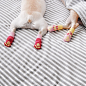 Piggy & Polly 在 Instagram 上发布：“We like to wear socks to just lounge around at home... #piggyandpolly” 
狗、汪星人、法斗、法国斗牛