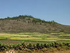 唯美风光马达加斯加岛高清壁纸桌面壁纸3
