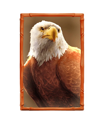 bufallo-win_h_eagle_...