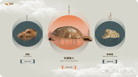 截屏2024-09-03 14