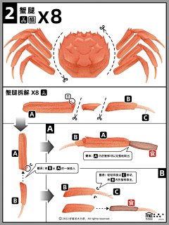 Freescj采集到大闸蟹