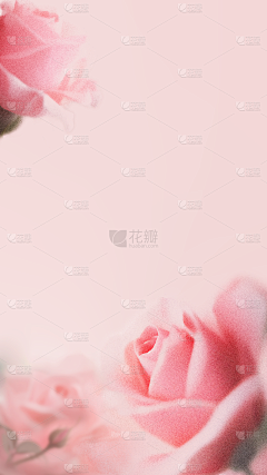 果啊果TG采集到花卉叶子自然元素