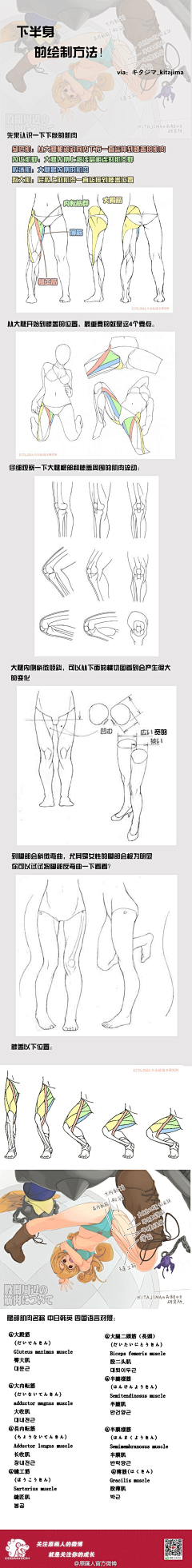 沉默的羔羊本尊采集到人体躯干