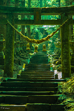 三川大人采集到场