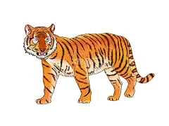 老虎  - 源文件下载【酷图网】老虎图片,上山虎,老虎王,老虎挂画,老虎,虎,猛虎下山图,国画老虎,老虎工笔,虎啸云天,虎啸图,猛虎上山,猛虎上山图,工笔老虎,老虎挂图,老虎素材,老虎画,中式老虎,猛虎下山,猛虎图,老虎下山,老虎国画,水墨老虎,玄关山水画,竖幅山水画,过道,走廊,装饰画,五福临门,老虎插画,虎年插画,老虎背景图,