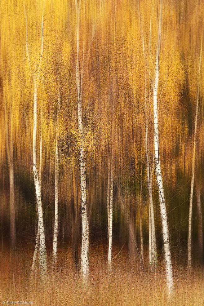 Autumn by Gustav Dav...