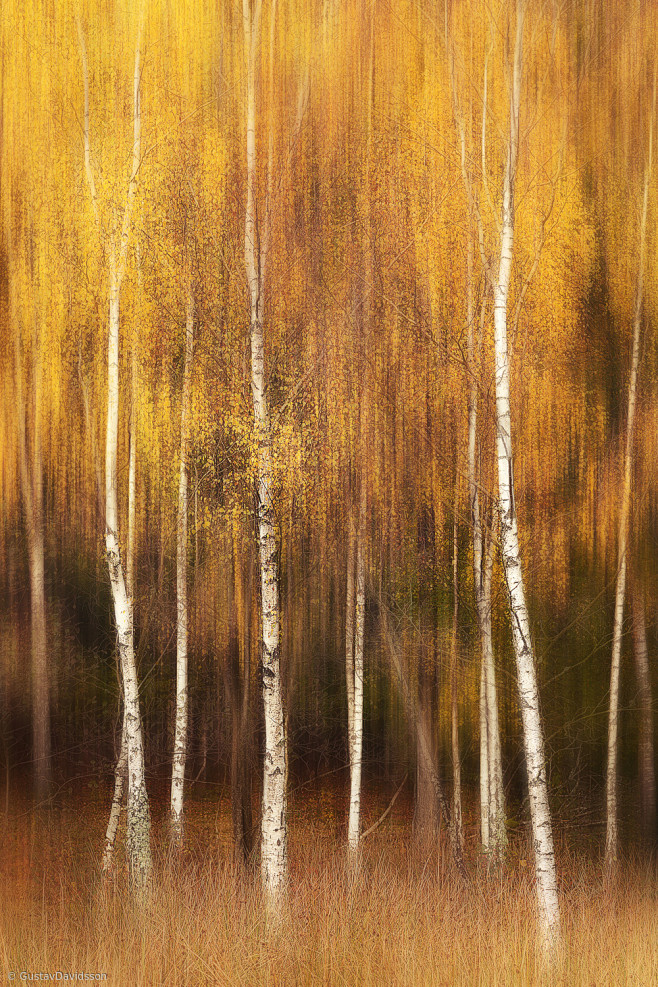 Autumn by Gustav Dav...