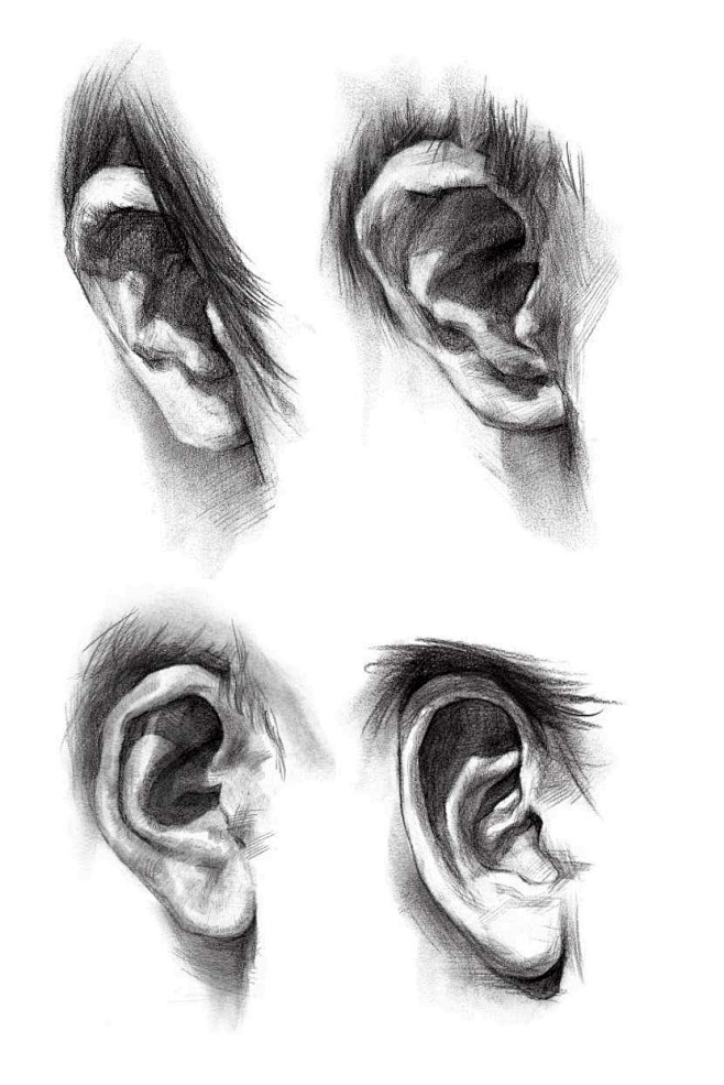 素描耳朵 (21)