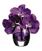 Take a look at this Mauve Vanda Orchid Vase Arrangement by Allstate Floral & Craft on #zulily today!:
