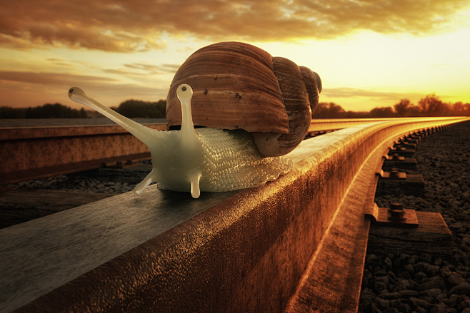 John Wilhelm is a ph...