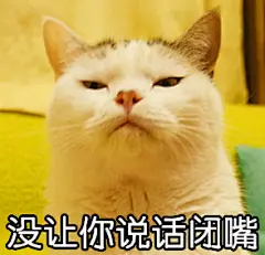 #喵星人小乖##表情包#再发一组表情包吧哈哈... 来自巧克力喵星人在东京打伞 - 微博
