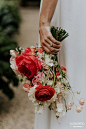 图片素材-DODOWED婚礼策划网