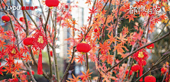 达理理采集到(交付)树挂