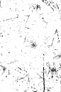 斑驳