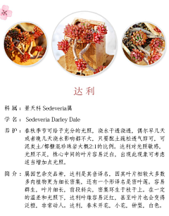 【一人一世界】采集到多肉植物标签