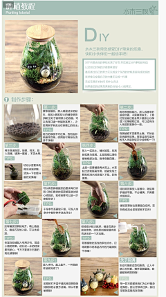 惠子（Anne）采集到多肉微景观