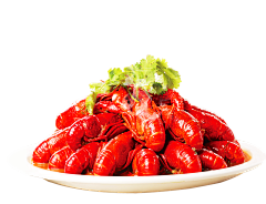 一只快乐的小懒虫采集到食物