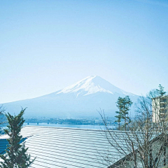 M梦野采集到摄影