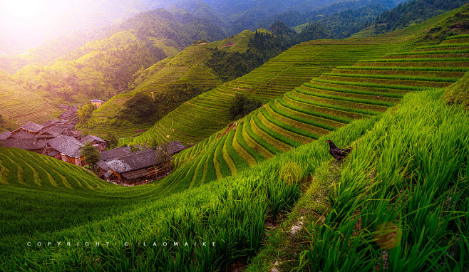 桂林龙脊梯田.jpg (1200×696...