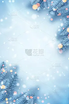 角落里结霜的蓝色云杉树枝。