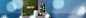 Homepage Collection