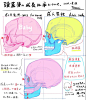 图片-006YezONgy1gvzzkxvmbmj30u0100wka11.jpg