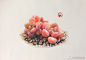 彩铅手绘多肉植物<br/>via@春林燕喜 <br/>卡达PABLO及LUMINANCE 6901油性彩铅<br/>获多福细纹水彩纸 ​​​​