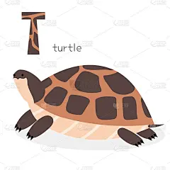 字母