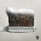 WWF Haze Campaign : This campaign launched in Singapore to raise awareness of the county's haze issue and the truth of where it comes from. Haze is caused by burning forests in Indonesia and Malaysia for palm oil production, which is found in the products