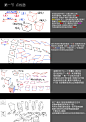 人体结构简化归纳总结