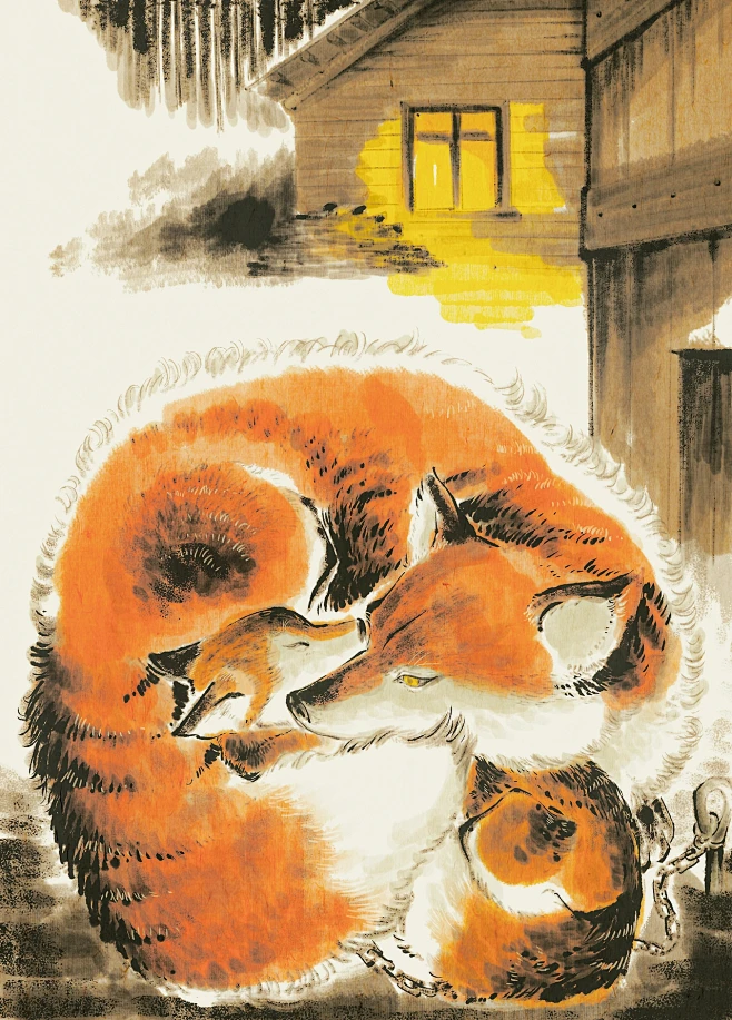 王小坡WXP1