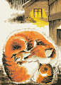 王小坡WXP1