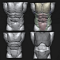 Torso Anatomy Studies [Zbrush]