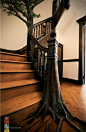 Tree stairs - photoshopped but still pretty darn cool