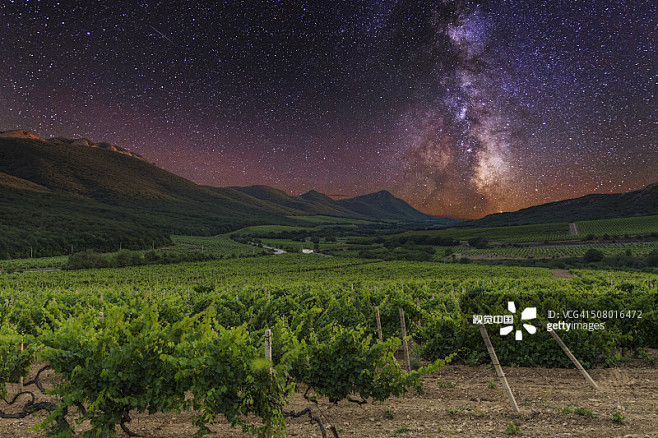 远离康德采集于2017-12-26 19:17:31自然景观下的葡萄园远离康德该