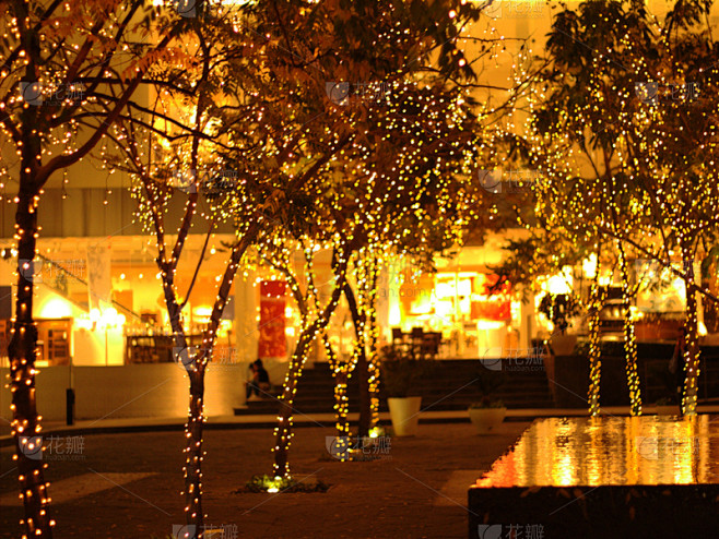 圣诞小彩灯,水平画幅,喷泉,圣诞树,路灯...