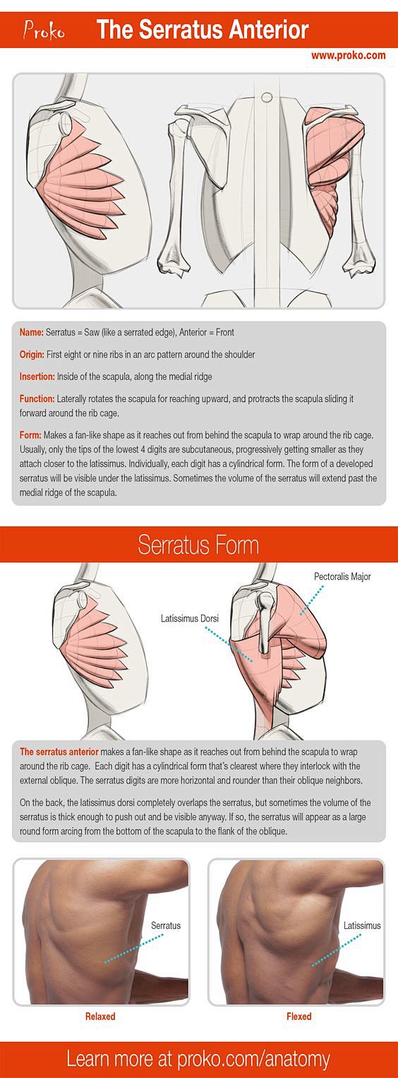 A detailed look at t...