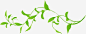 春天png免抠素材_新图网 https://ixintu.com 春天 春季 柳条 树叶 叶子