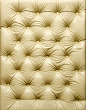 皮革 (5)