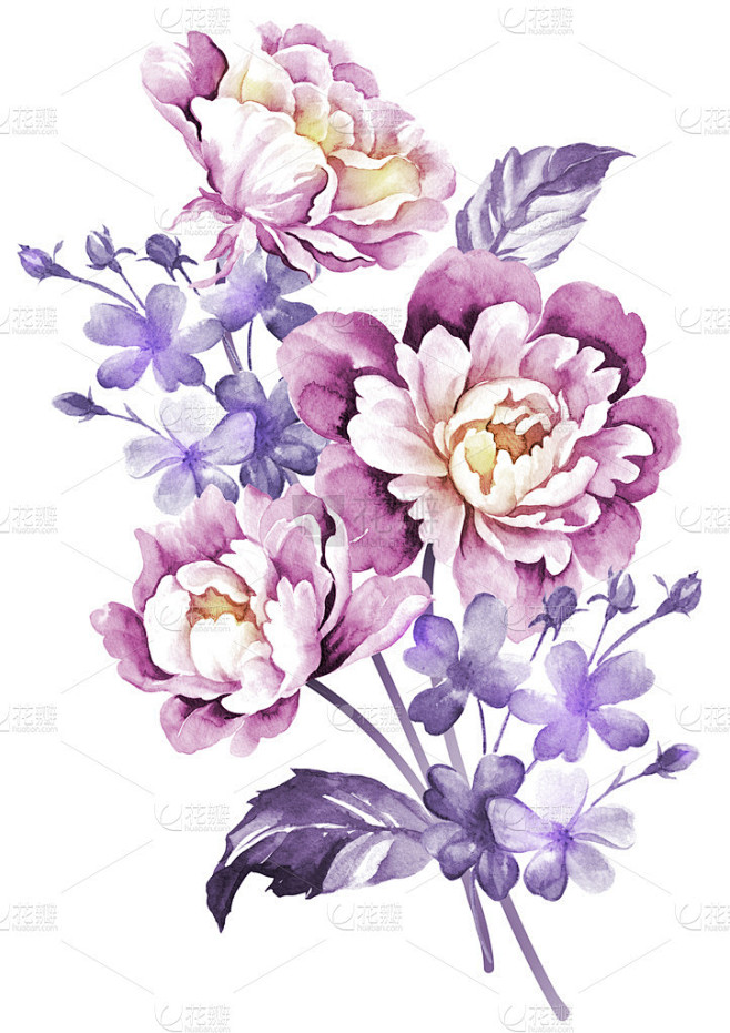 水彩画花