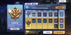 一小甜点一采集到通行证