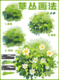 扁平植物小场景插画教程_1_植系学长_来自小红书网页版
