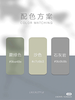 酱大猫采集到C`olor Matching