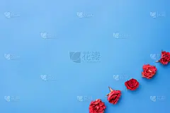 书桌,玫瑰,蓝色背景,贺卡,留白,灵感,水平画幅,古老的,盒子,生日